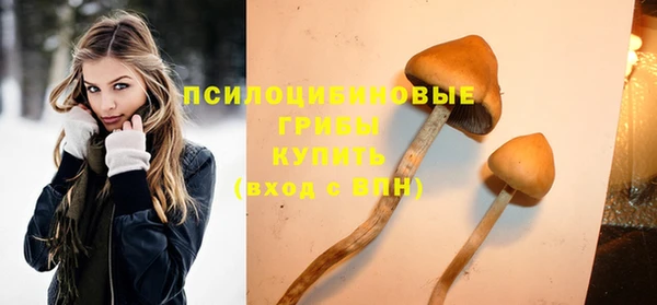 каннабис Елизово