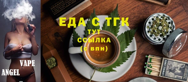 гидра Богородицк